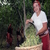 Fındıkta `erken hasat` uyarısı