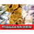 Haftanın Son İşlem Gününde Piyasalarda Son Durum!