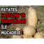Önemli Patates Hastalık ve Zararlıları İle Mücadele