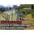 Fındık Üreticilerine Hastalık ve Zararlılara Karşı Zirai Mücadele Çağrısı