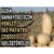 Gıda Sanayisi İçin Yerli İki Patates Çeşidi Geliştirildi