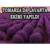 Tomarza`da Lavanta Ekimi Yapıldı