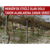 Mersin`de Etkili Olan Dolu Tarım Alanlarına Zarar Verdi
