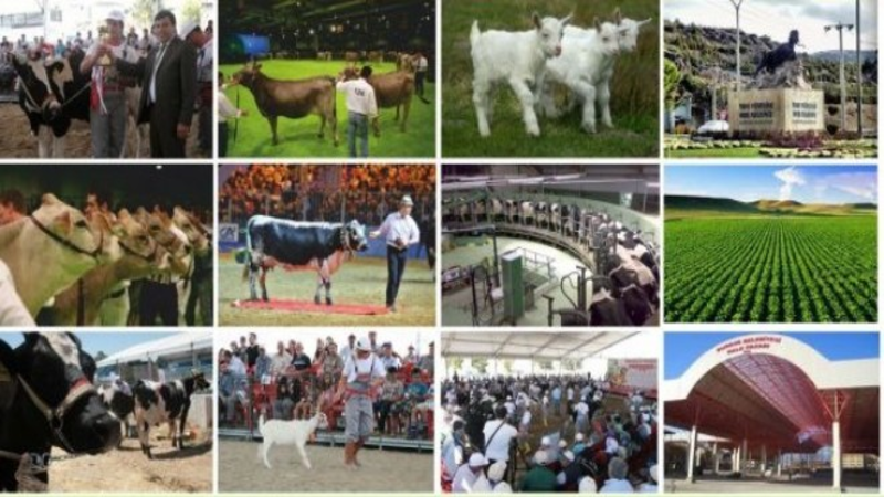 Burdur 1.Teke Yöresi Canlı Hayvan, Hayvancılık, Tarım Teknolojileri ve Yem Fuarı