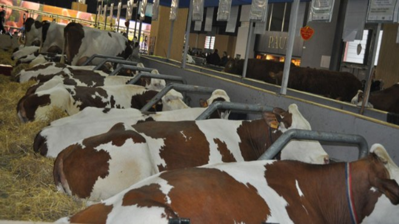 5.Gönen Tarım ve Hayvancılık Fuarı