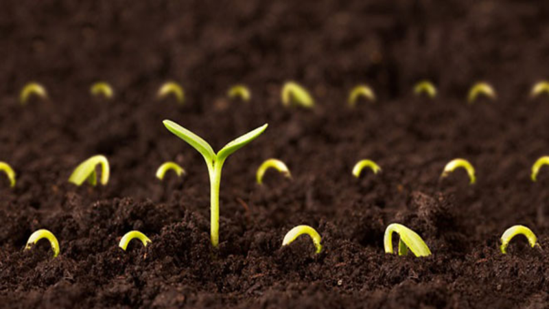 Konya Tohum 2016 5.Tohum Teknolojileri  ve Ekipmanları Fuarı