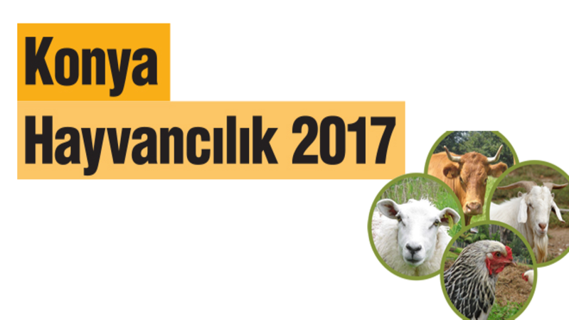Konya Hayvancılık-2017