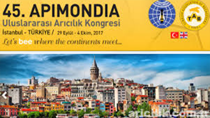 APIMONDIA-2017