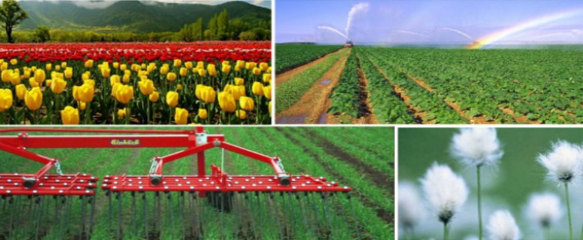 Agritech 2015 5.Fethiye Tarım, Seracılık, Hayvancılık, Gıda ve Tarım Makineleri İhtisas Fuarı