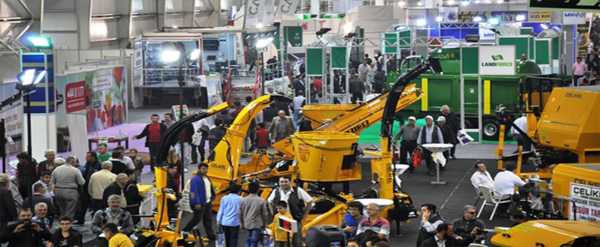 Bursa Hayvancılık -2017