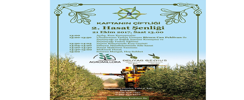 AGROMİLLORA`NIN KATKILARIYLA ZEYTİN HASAT ŞENLİĞİ