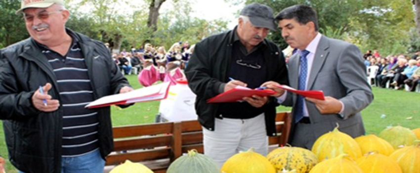 Yaylanın En Güzel Kavununu Seçtiler