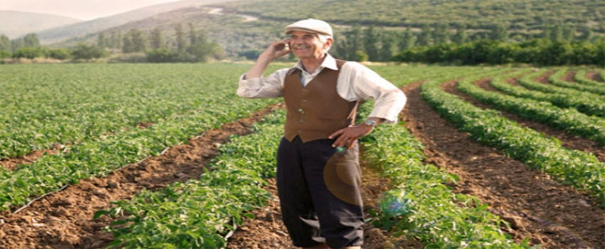 Pamuk Üreticisi Geçen Yıla Göre Yüzde 23`lük Gelir Kaybı Yaşıyor