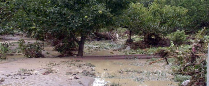 Meyve Bahçeleri Sular Altında Kaldı