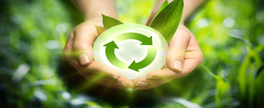 Yenilenebilir Enerji Kaynağı `Biyokütle` Nedir?