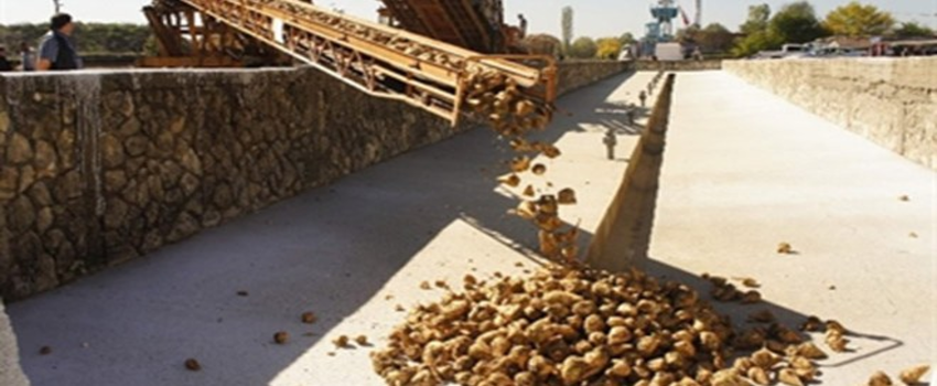 Şeker Fabrikası`nın 52`inci Kampanya Dönemi Başladı