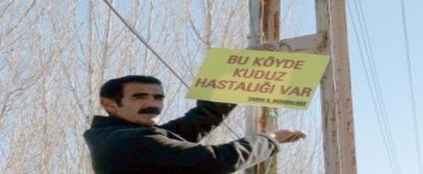 Erzincan`da 2 Kuduz Vakası Tespit Edildi