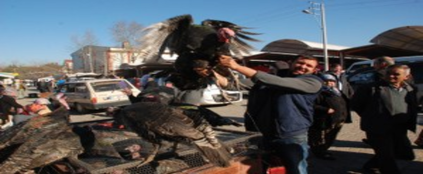 Hindiler El Yakıyor