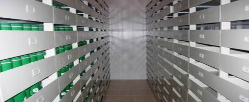 117 Bin Çeşit Tohum, Gen Bankasında Muhafaza Ediliyor