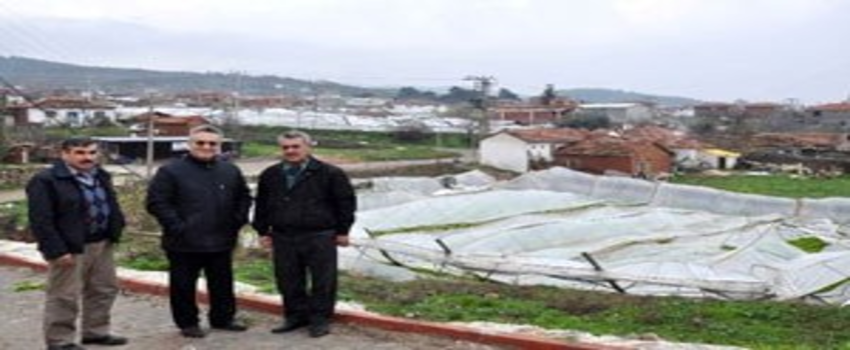 Kar Yağışının Çiftçilere Verdiği Zarar Belli Oldu