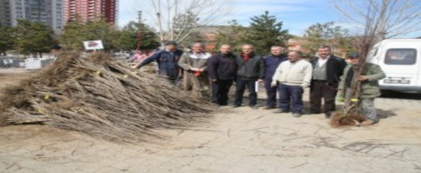 Kayısı Üreticilerine Bilgilendirme