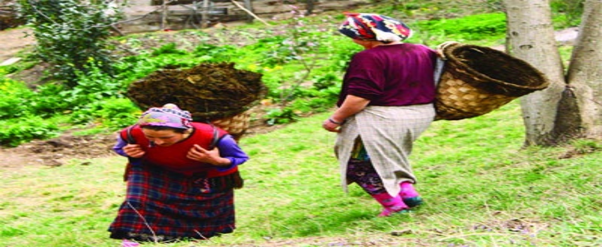 Kadın Çiftçi Eğitimi` İşbirliği Protokolü