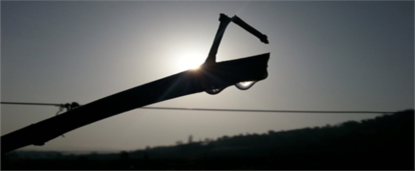 Asmaların Gözyaşları