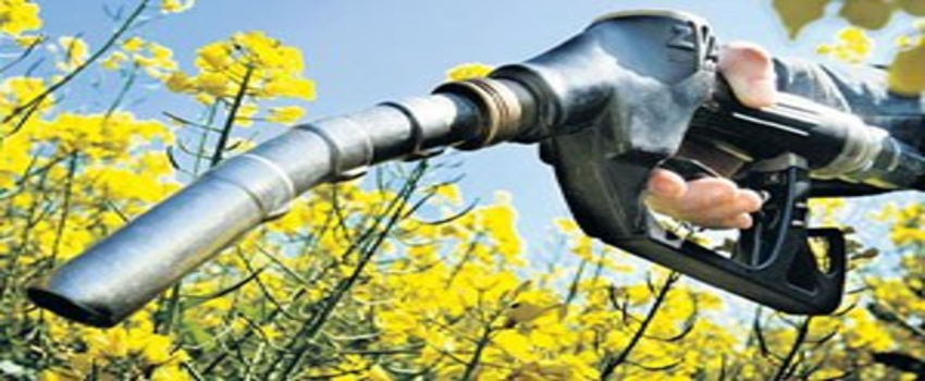 `Çiftçi` akaryakıt pazarına girecek