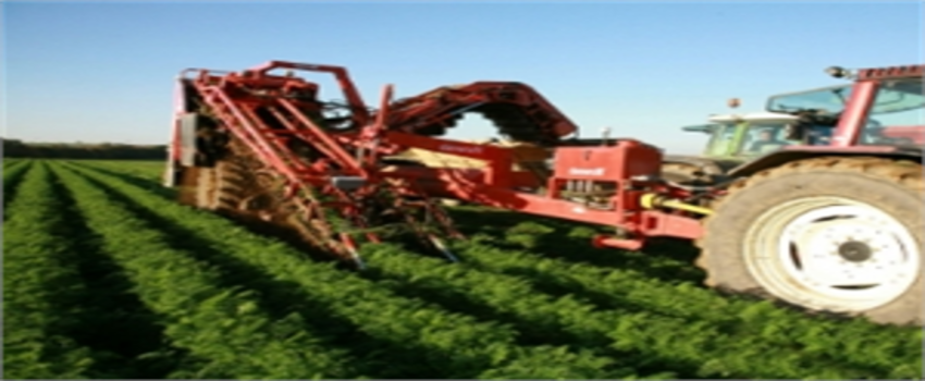 Sakin Şehir`in Tarımına Uluslararası İlgi