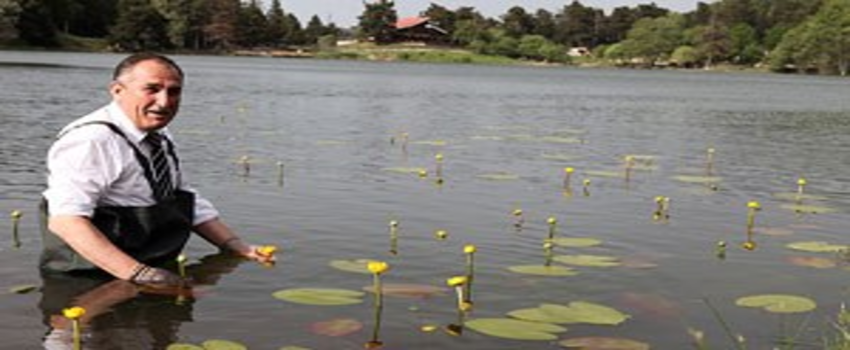 Bolu`da endemik bitkiler koruma altına alınıyor