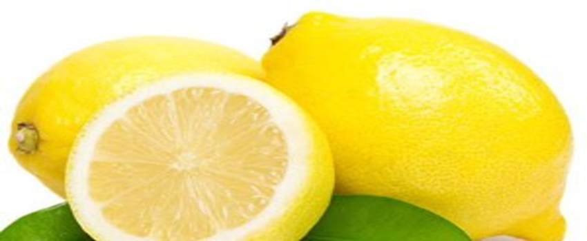 Erken Hasat Turunçgil İhracatına Darbe Olabilir