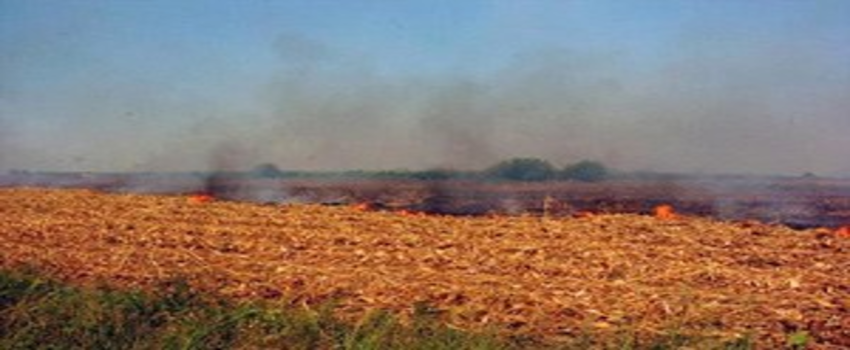 Yakılan Anız Küresel Isınmayı da Etkiliyor