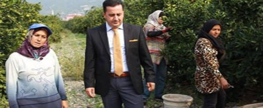 Dörtyol`da ``İyi Tarım Uygulamaları Projesi``