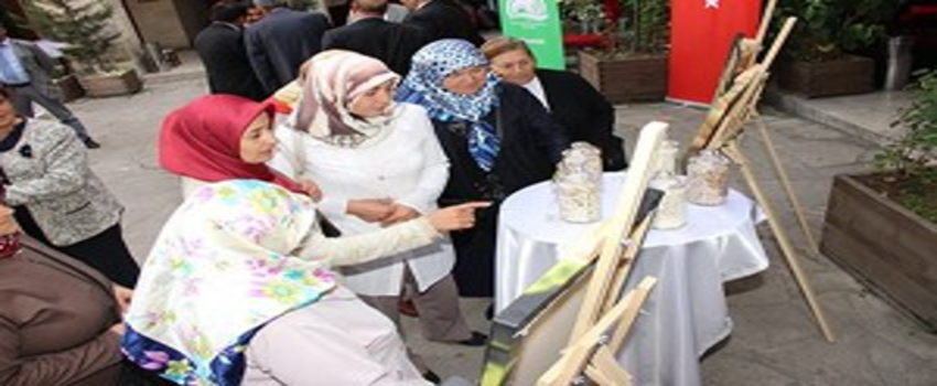 Yerel Tat, Empürmeye Değer Kat