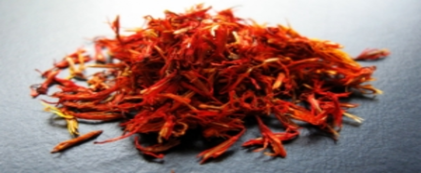 Hatay`da Safran Hasadı Başladı