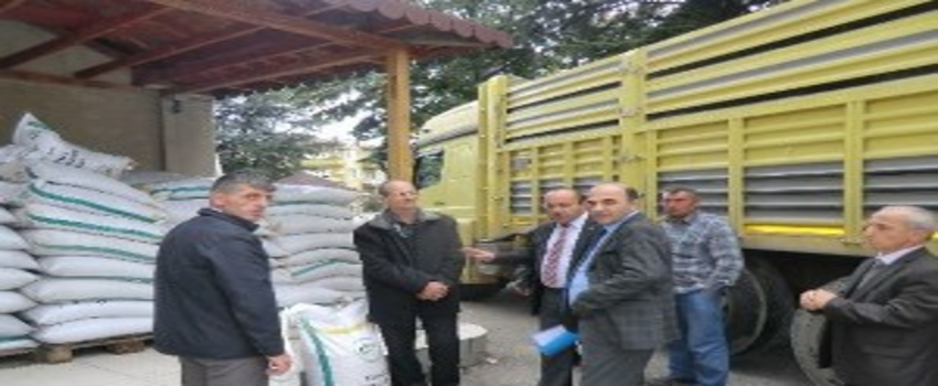 Düzce`de Yem Bitkisi Yetiştiriciliği Teşvik Ediliyor
