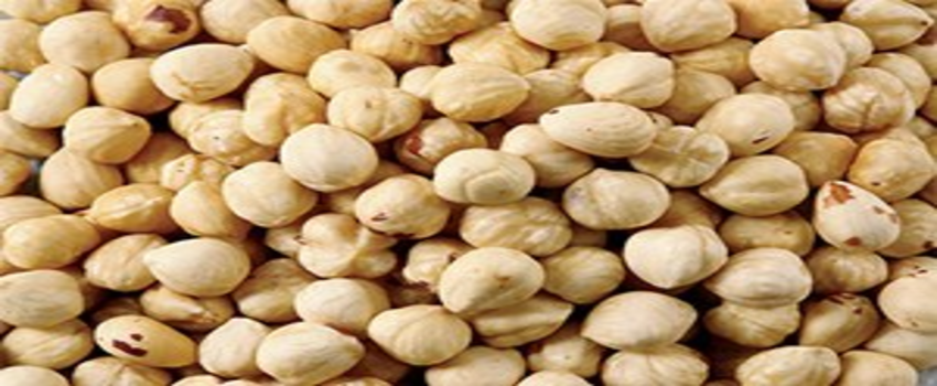 Türk Fındığı Çin`de Tanıtıldı