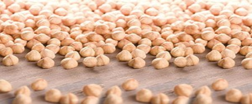 Kavrulmuş Fındık Bu Yıl Cep Yakmayacak