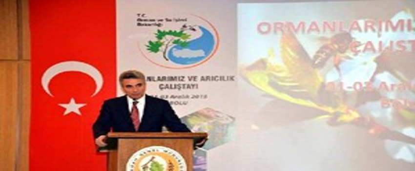 Bolu`da, `Ormanlarımız ve Arıcılık Çalıştayı`