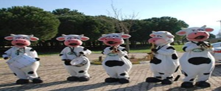 İzmir`de Üretilen Sütler, İzmir`de İşlenecek`