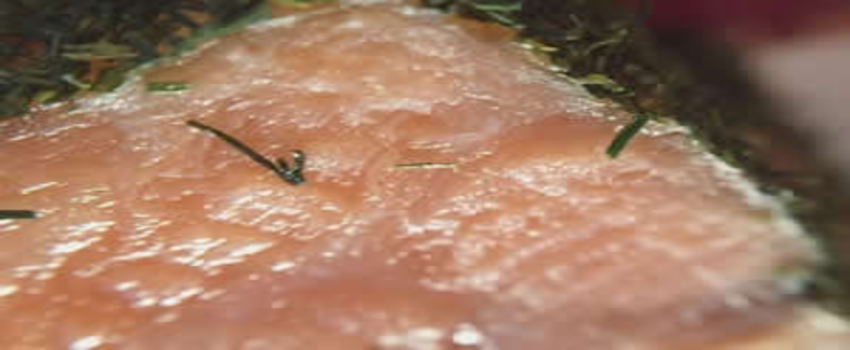 İyi Bakteriler Gıda Atıklarına Yeniden Hayat Veriyor