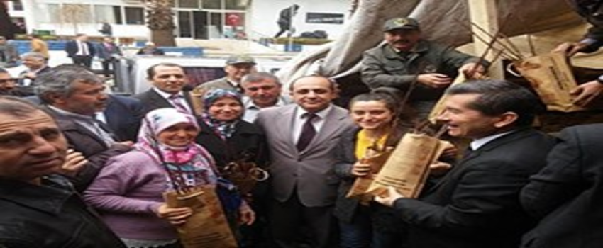 Kiraz`da Kestane Üreticilerine Ekiman ve Fidan Desteği