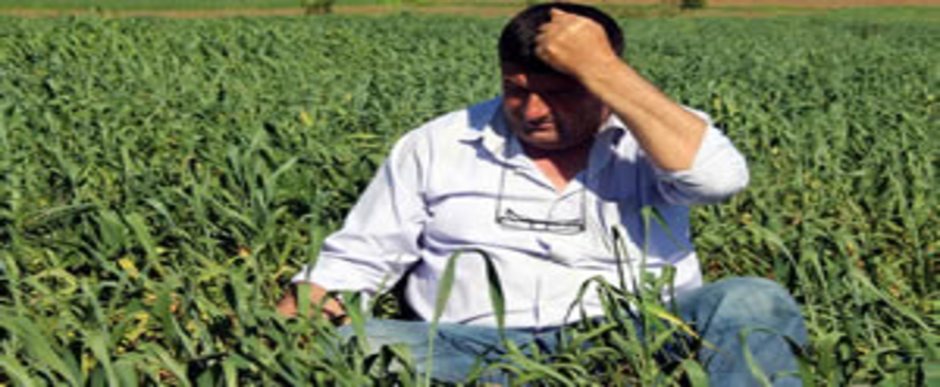 Edirneli Çiftçiler Endişeli