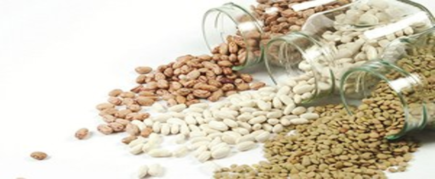 Dünya Bakliyat Kongresi İzmir`de yapıldı