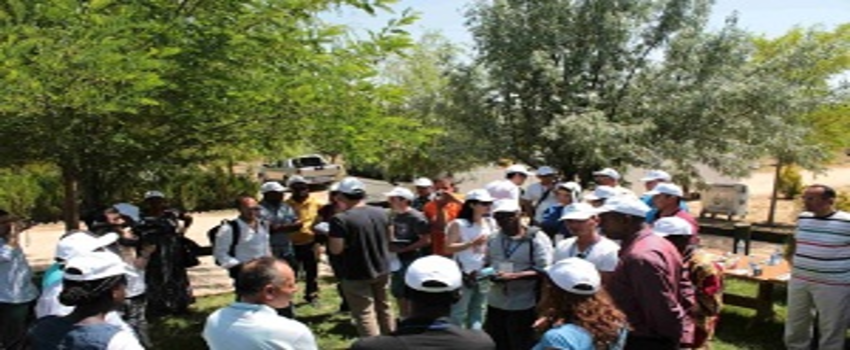 Afrikalı Ormancılar Toroslar`da