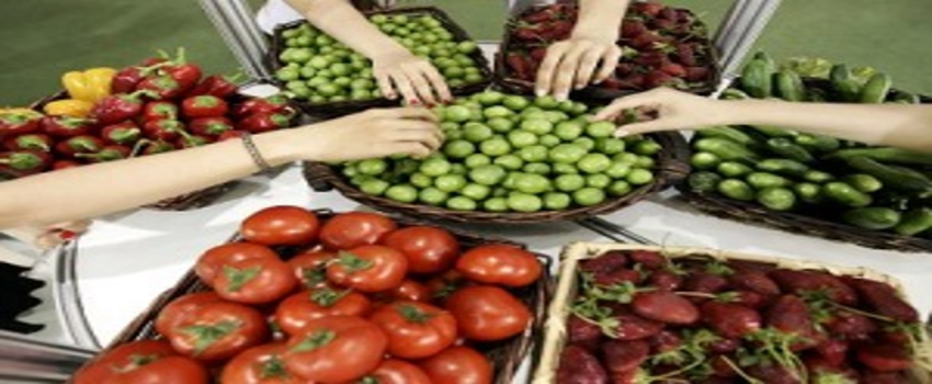 Gıdalarımız Ne Kadar Güvenilir?