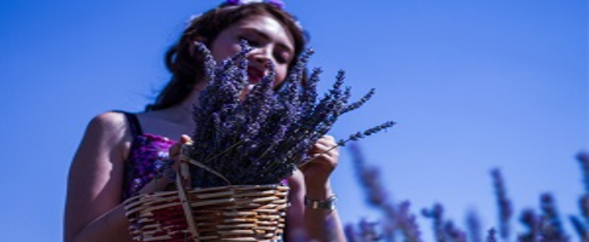 Isparta Fransa`ya Rakip Oldu