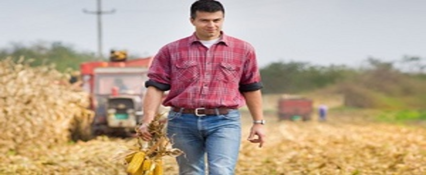 Kırsalda Kalkınma Tarladan Başlıyor