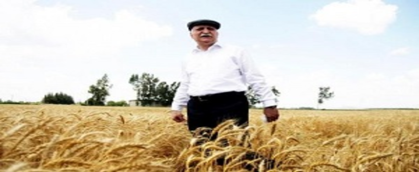 Sertifikalı Tohum Üretiminde 1 Milyon Tona Doğru