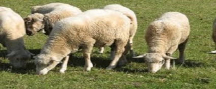 Üretici Uçurumun Kenarında